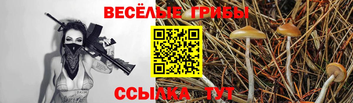 Галлюциногенные грибы Cubensis  Вход с VPN  Братск 